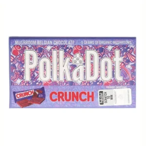 polkadot
